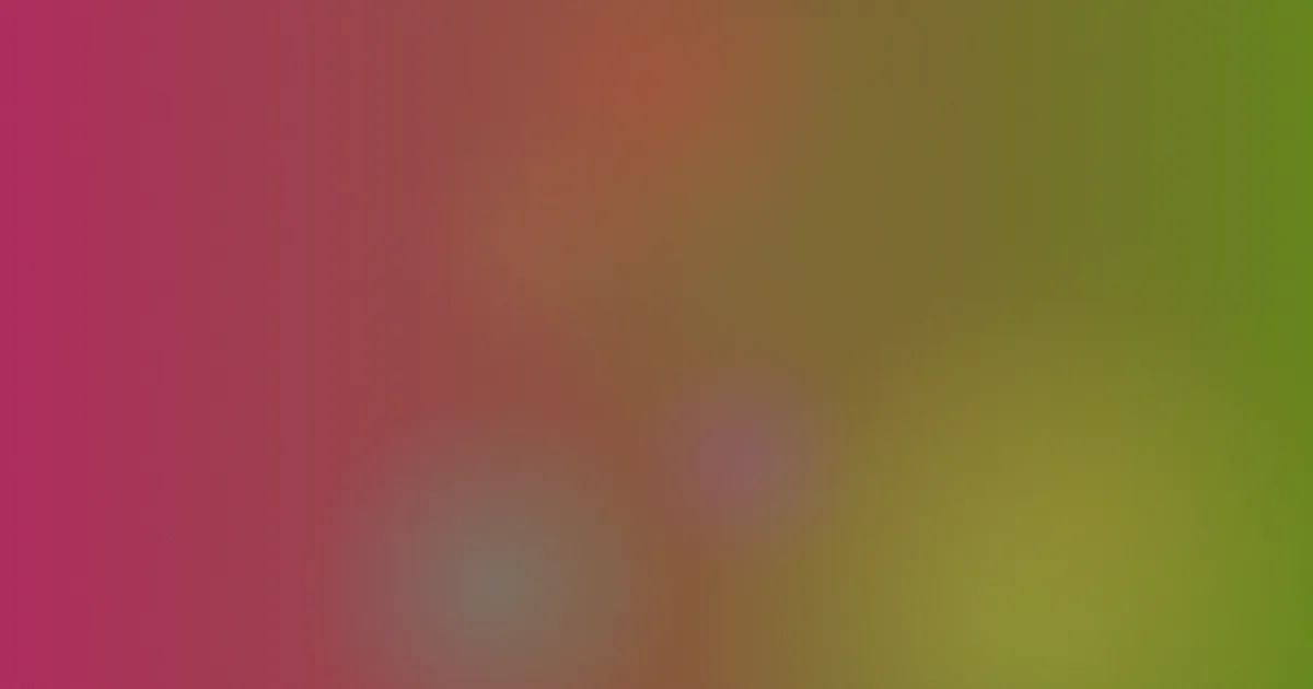 熊出没之变形记：被低估的亲子片
